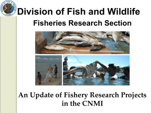 An Update of Fishery Research Projects in the CNMI