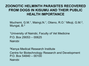 Zoonotic helminth parasites recovered from dogs in Kisumu and