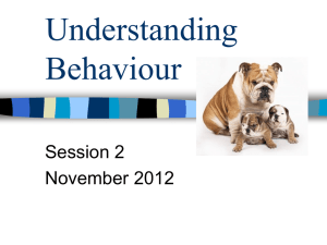 Understanding Behaviour - Session 2