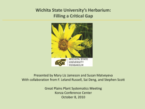 KSU Herb - Wichita State University