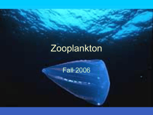 Introduction%20to%20Zooplankton%20Ecology08