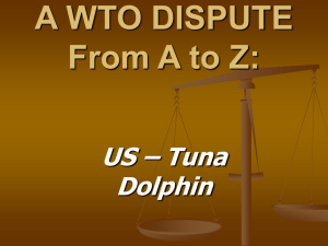 A WTO DISPUTE From A to Z: