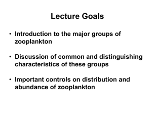 Lecture Goals Introduction to the major groups of zooplankton