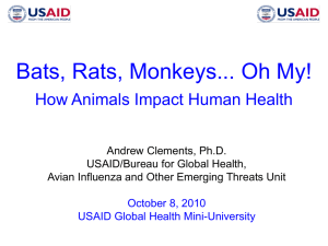 Bats, Rats, Monkeys... Oh My! - Global Health Mini
