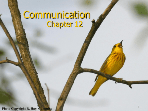 Complex Communication