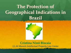 The Protection of Geographical Indications in Brazil
