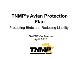Avian Protection