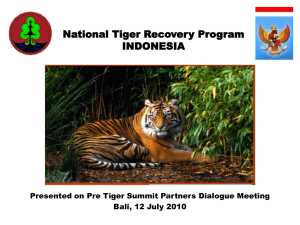 National Tiger Recovery Program INDONESIA
