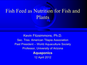 Fish Feed as Nutrition