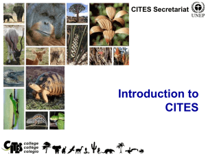 Introduction to CITES