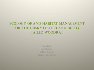 Ecology of and Habitat Management for the Dusky