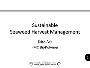 Sustainable Seaweed Harvest Management