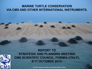 Presentation: Marine Turtles - Colin Limpus