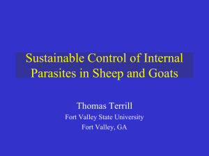 biological control of gastrointestinal nematodes of goats using