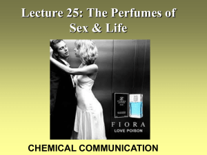 The Perfumes of Sex & Life