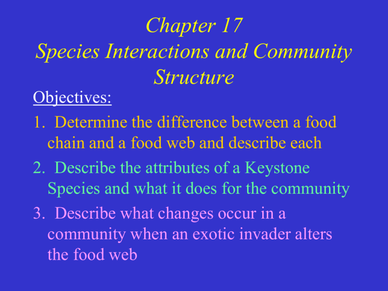 food-webs