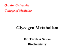 Glycogen Metabolism by Dr Tarek File