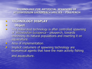 Technology for artificial spawning