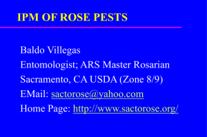 IPM of Rose Pests - American Rose Society