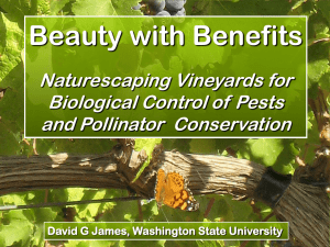 Beauty with Benefits by Dr. David James of WSU