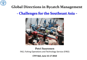 Global Directions in Bycatch Management and Reduction of