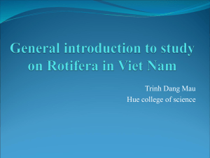 SITUATION RESEARCH ROTIFERA IN VIETNAM