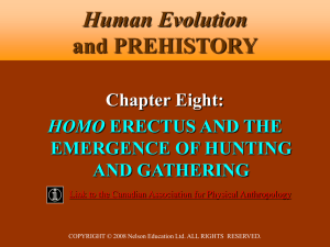 11.6 MB - Human Evolution and Prehistory, Second Canadian Edition