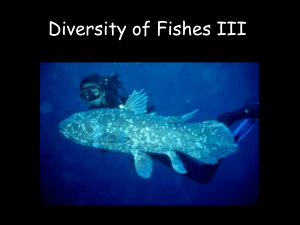 Diversity of Fishes III