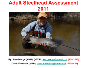 Co-op Angler 2011 - North Shore Steelhead Association