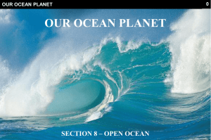 Open Ocean  - Central Caribbean Marine Institute