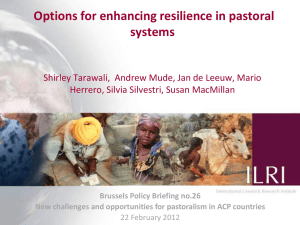 Options for enhancing resilience in pastoral systems