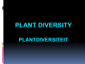Plantdiversiteit Algemene eienskappe –aanwesig / afwesig
