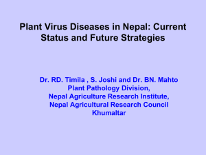 Plant Virus Diseases in Nepal: Current Status and Strategies.