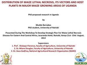Distribution Of Maize Lethal Necrosis, Its Vectors And Host