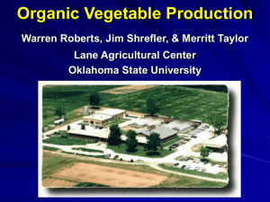 Organic Vegetable Production - Sustainable Agriculture In Oklahoma