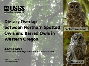 Barred compared to spotted Owl diets