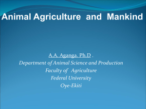 Animal Agriculture and mankind - Federal University Oye