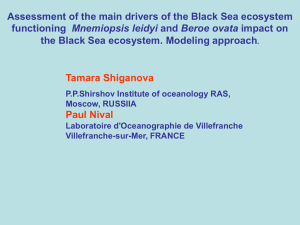 Diapositive 1 - Black Sea SCENE