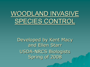 Invasive Species – Woodland Control
