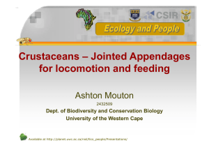 Ashton_Mouton - University of the Western Cape