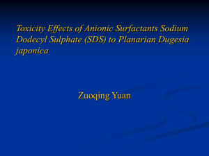 Zuoqing Yuan - Klaunig Lab