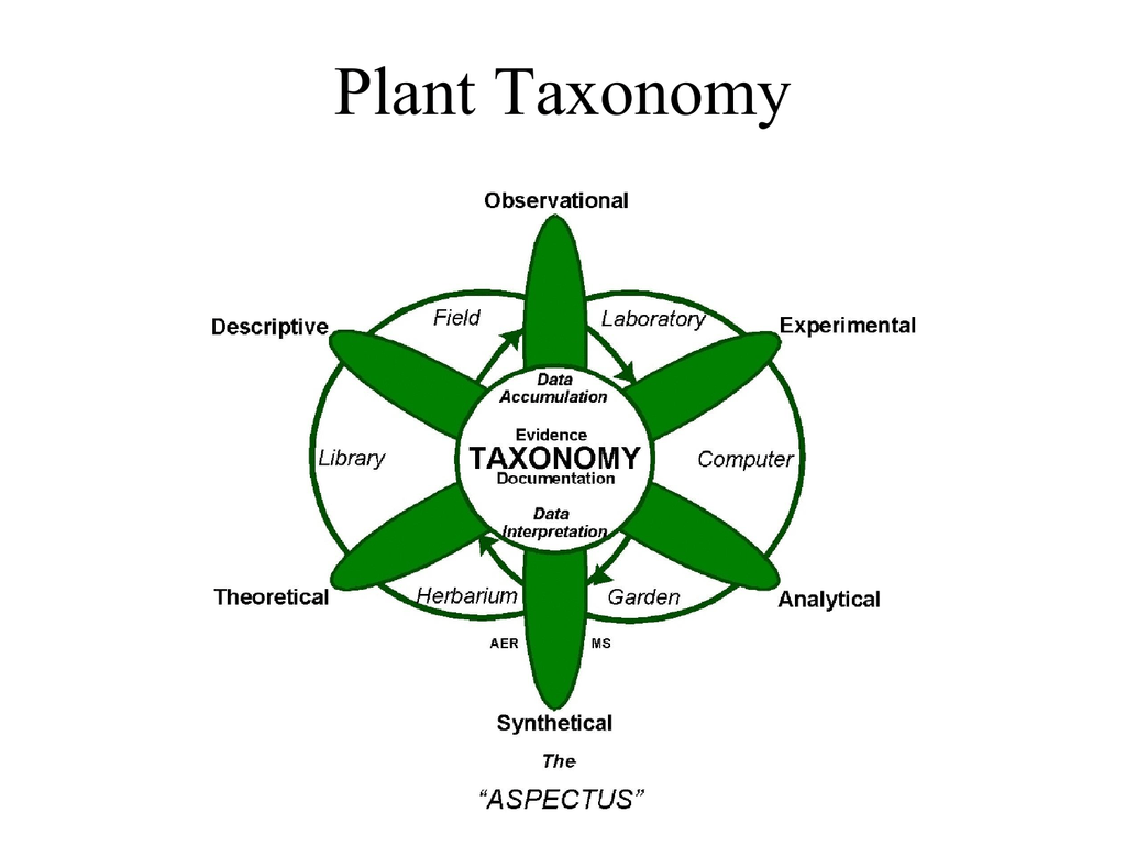 Historical development of plant taxonomy information