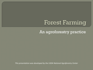 Forest Farming - National Agroforestry Center