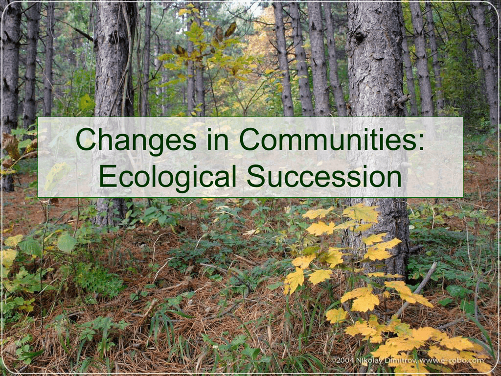 Ecological succession notes