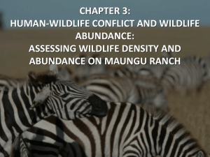 Kenya Research: Wildlife Abundance