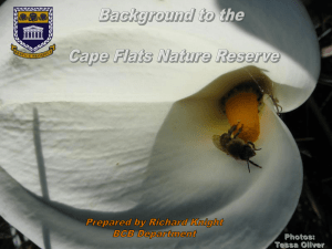Cape_Flats_nature_reserve - University of the Western Cape