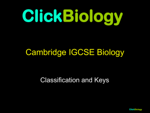 Classification and Keys