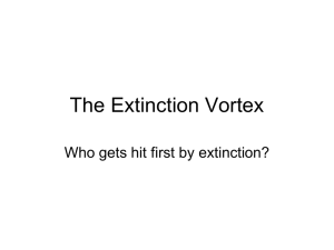 The Extinction Vortex