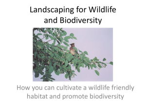 Landscaping for Wildlife presentation 2013