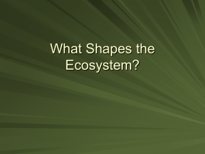 What Shapes the Ecosystem?